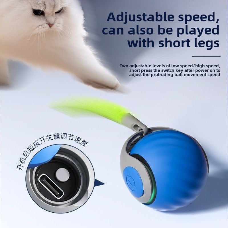Interactive Pet Gravity Ball – Smart Rolling Toy for Cats & Small Dogs