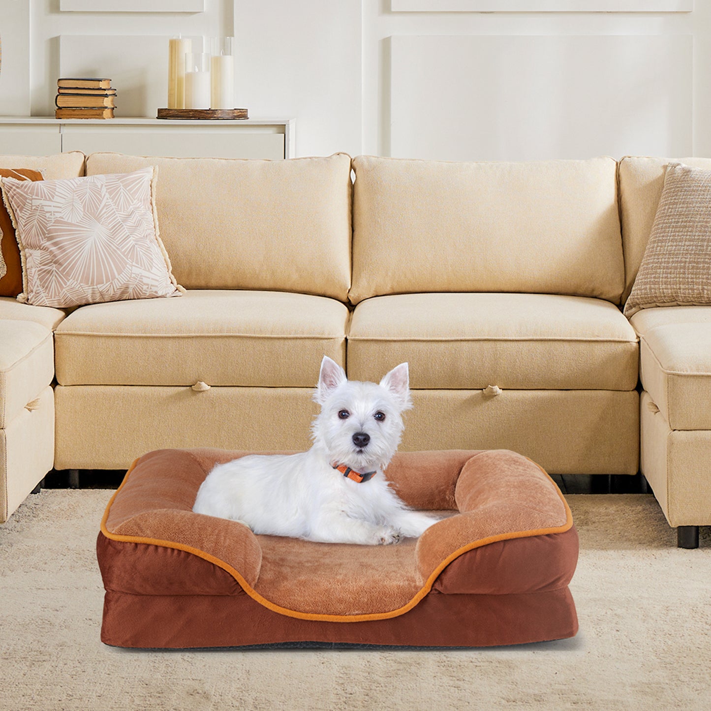 Orthopedic Dog Bed – Premium Comfort & Support | Machine-Washable Cover