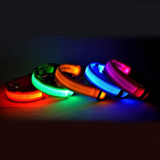 Einstein Paws Light Up Dog Collar – Nylon LED Collar, Rechargeable & Adjustable for Night Walking
