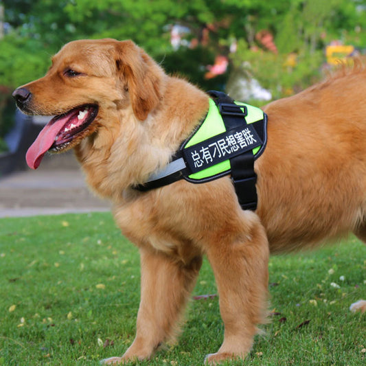 No-Pull Adjustable Dog Harness & Leash Set – Padded, Stylish & Safe for Daily Walks
