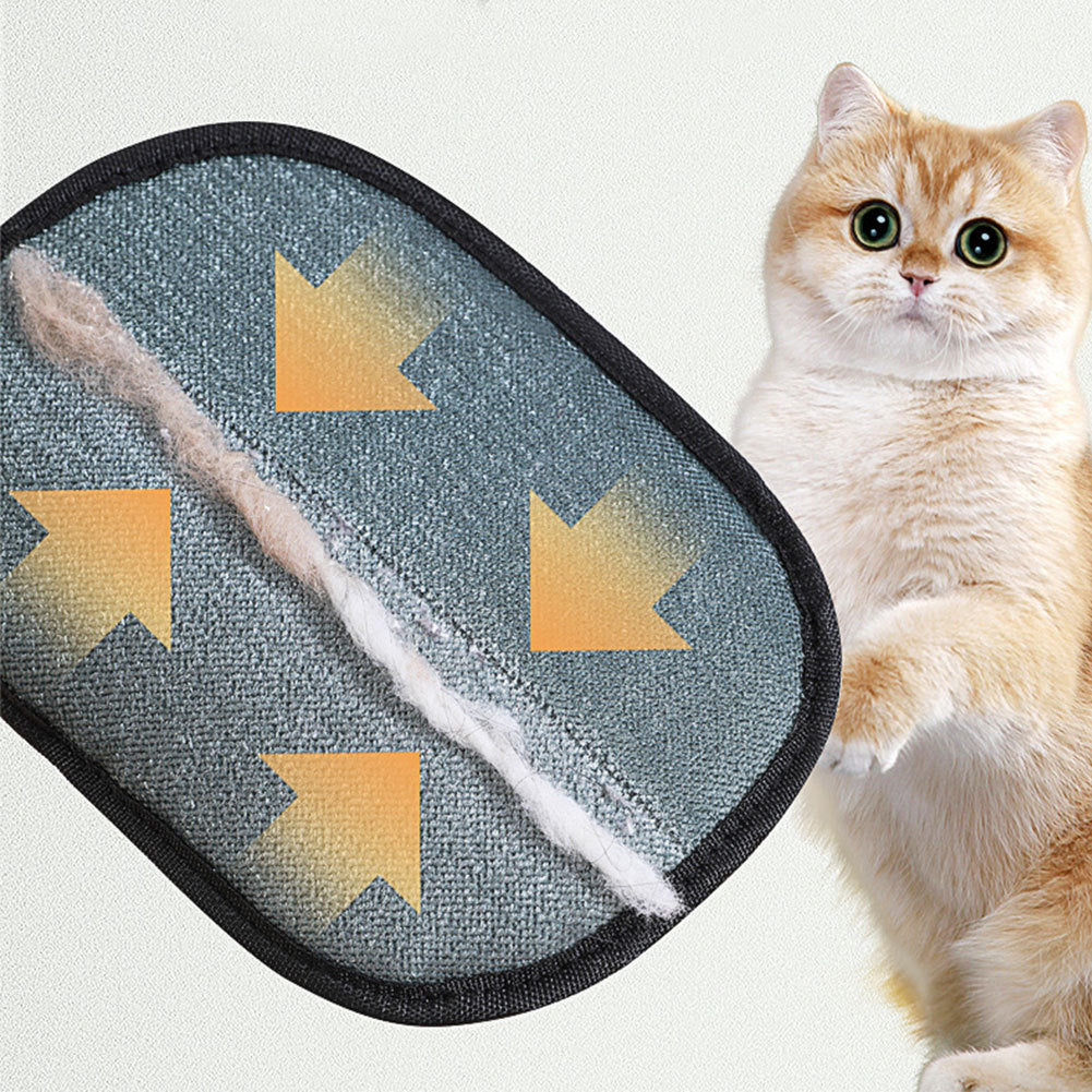 Einstein Paws Pet Hair Remover Glove – Clean Fur from Clothes, Sofas & Car Seats