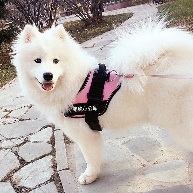 No-Pull Adjustable Dog Harness & Leash Set – Padded, Stylish & Safe for Daily Walks