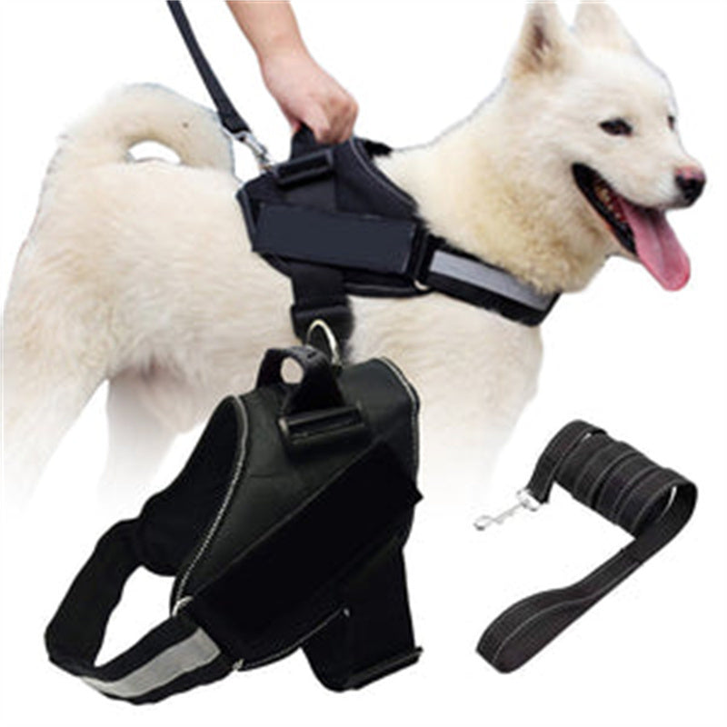 Einstein Paws Dog Vest Harness – Adjustable No-Pull Chest Harness for Small, Medium & Large Dogs