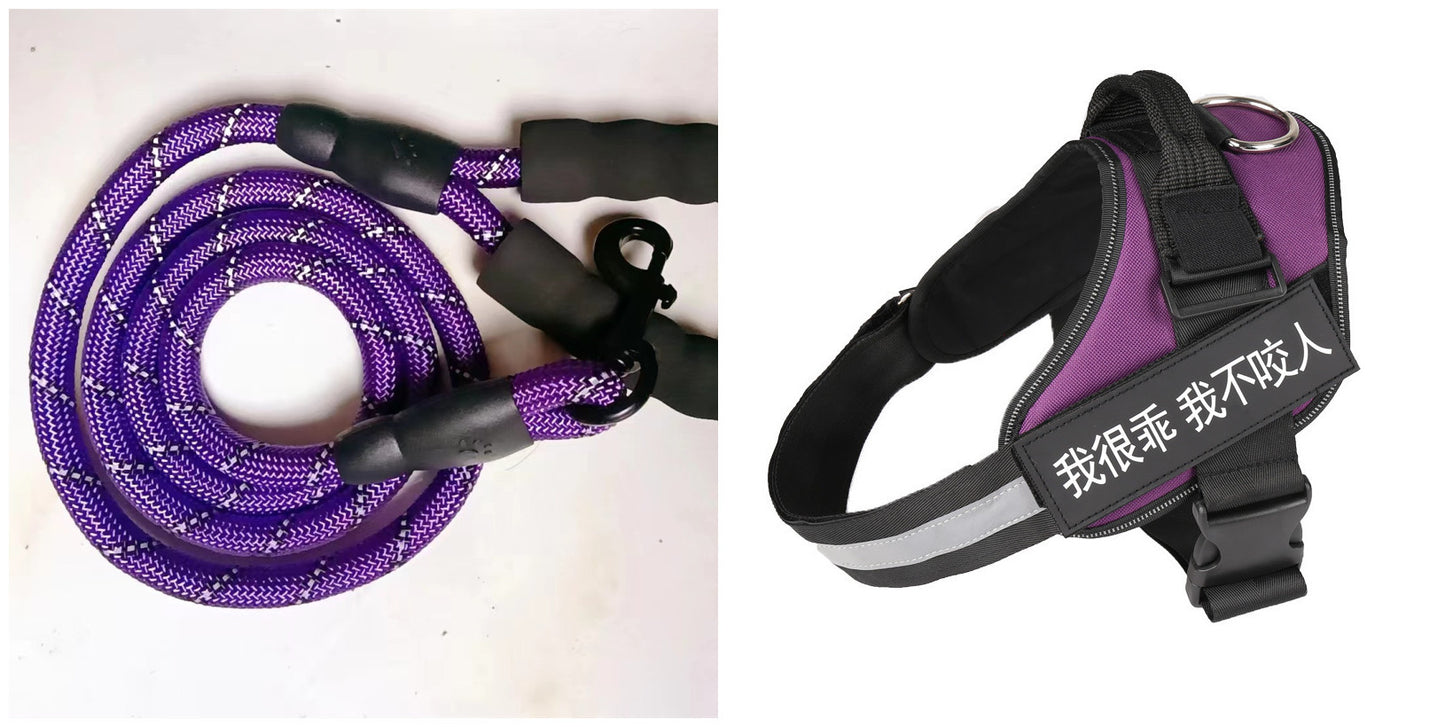No-Pull Adjustable Dog Harness & Leash Set – Padded, Stylish & Safe for Daily Walks