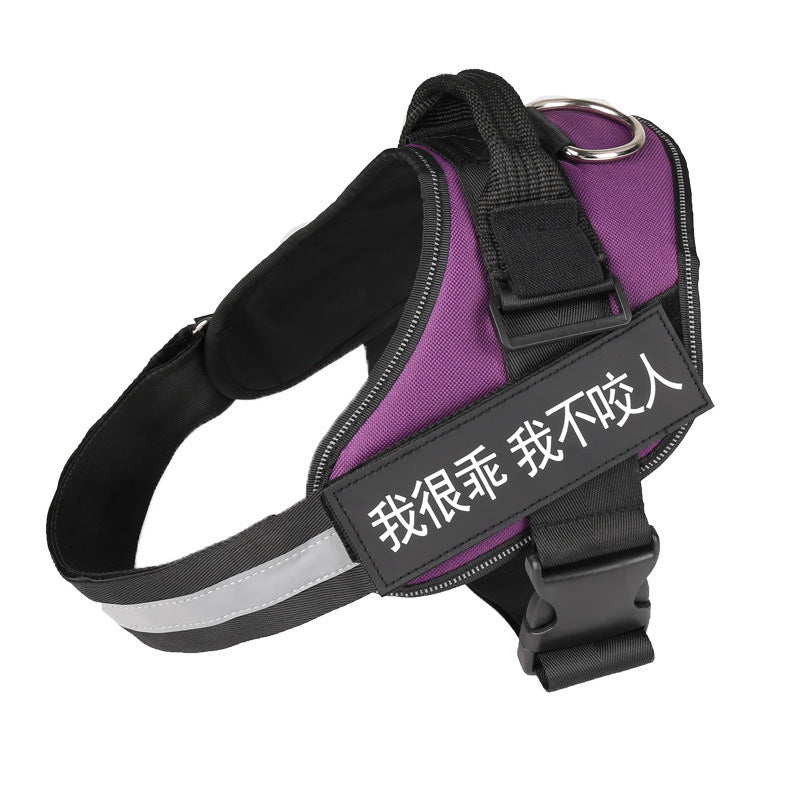 No-Pull Adjustable Dog Harness & Leash Set – Padded, Stylish & Safe for Daily Walks
