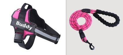 No-Pull Adjustable Dog Harness & Leash Set – Padded, Stylish & Safe for Daily Walks
